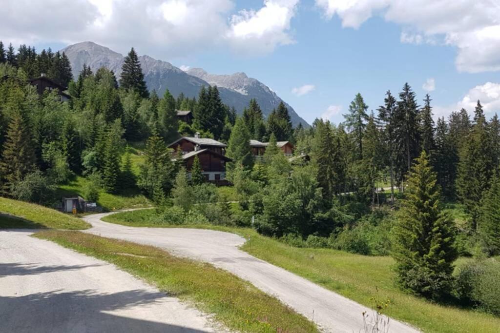Chalet Wulli In Der Naehe Der Skianlagen 사보그닌 외부 사진