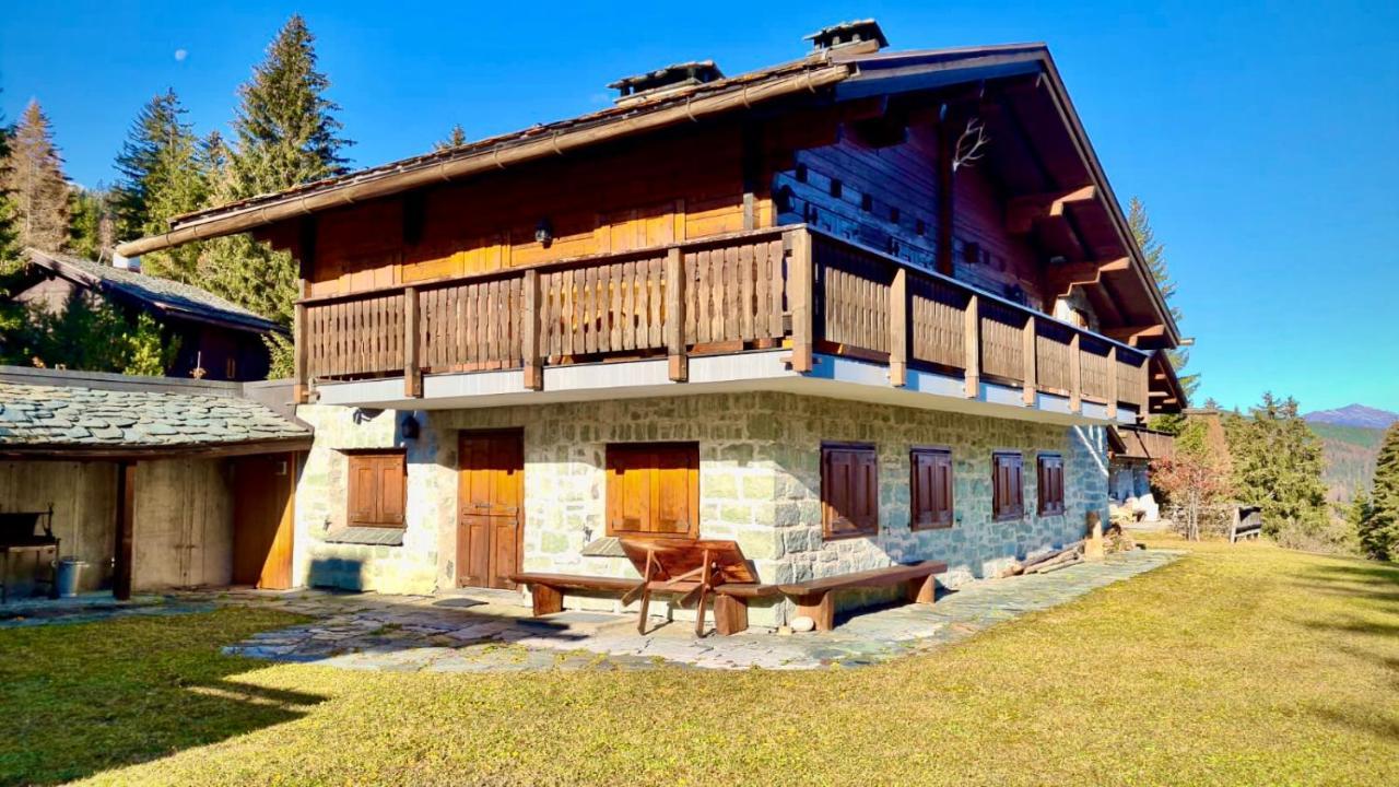 Chalet Wulli In Der Naehe Der Skianlagen 사보그닌 외부 사진