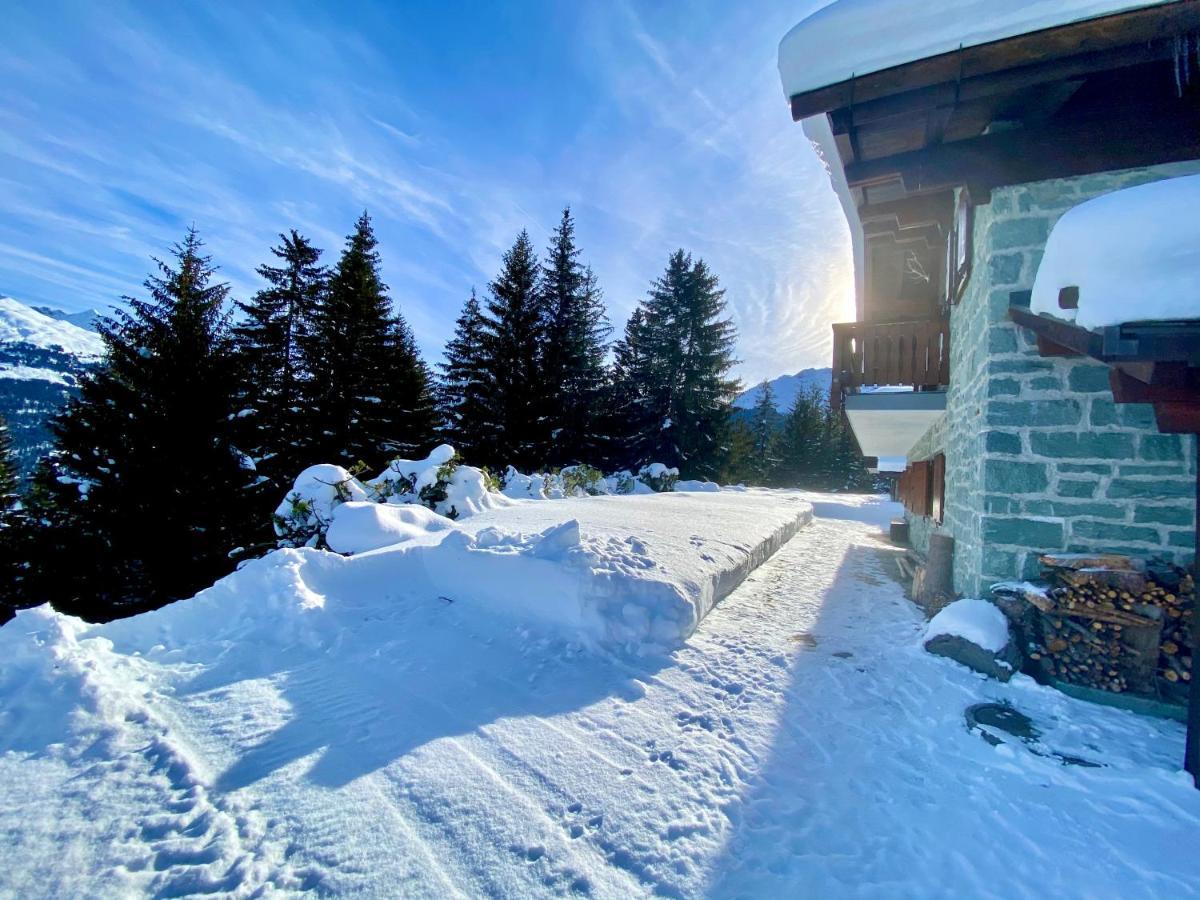 Chalet Wulli In Der Naehe Der Skianlagen 사보그닌 외부 사진