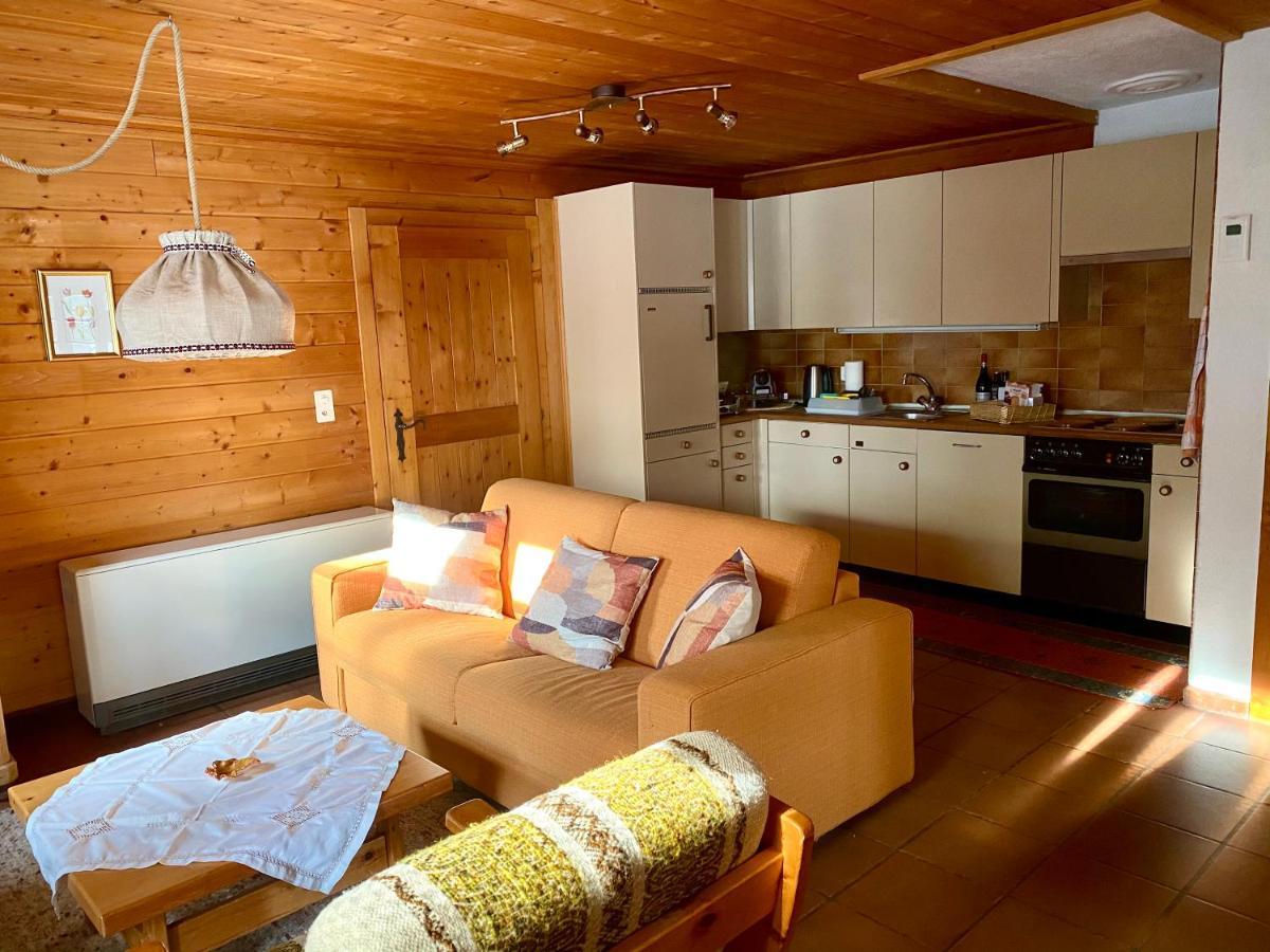 Chalet Wulli In Der Naehe Der Skianlagen 사보그닌 외부 사진