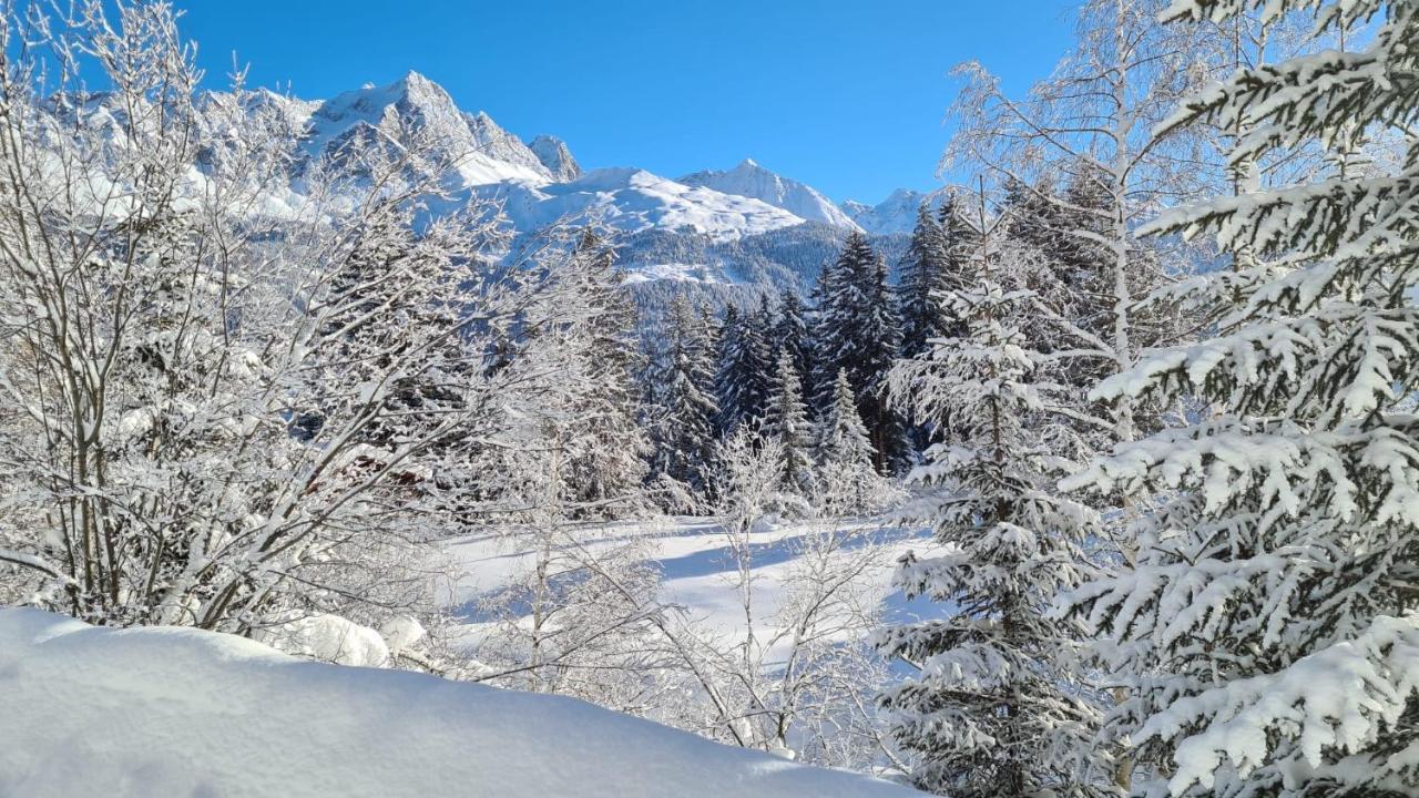 Chalet Wulli In Der Naehe Der Skianlagen 사보그닌 외부 사진
